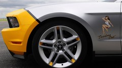 Cars Ford Ford mustang