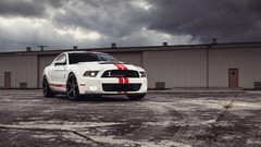 Cars Ford ford mustang shelby gt500 shelby gt500 Shelby GT500 