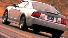 Cars Ford Ford mustang svt Ford Mustang Cobra