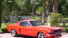 Cars Ford muscle cars