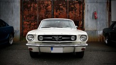 Cars Ford mustang