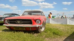 Cars Ford mustang