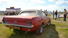 Cars Ford mustang