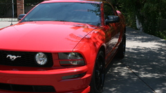 Cars Ford mustang Car