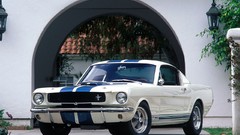 Cars Ford Mustang Shelby