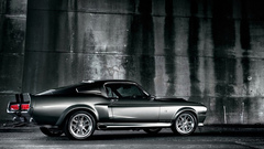 Cars ford mustang shelby