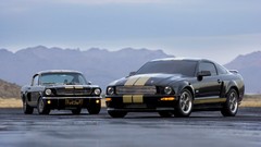 Cars Ford Mustang Shelby