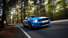 Cars ford mustang shelby gt500