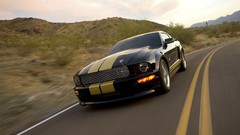 Cars Ford Shelby