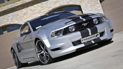Cars Ford Shelby
