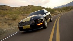 Cars Ford Shelby Ford