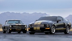 Cars Ford Shelby Ford