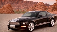 Cars Ford Shelby Ford