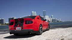 Cars Ford Shelby Ford mustang american car shelby gt500 muscle 