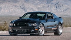 Cars Ford Shelby Ford mustang american car shelby gt500 muscle 
