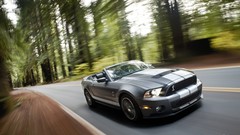 Cars Ford Shelby GT500