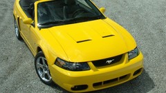 Cars Ford vehicles Ford mustang