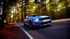 Cars forests ford mustang shelby gt500 Ford Shelby
