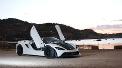 Cars front open doors Tushek Renovatio