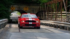Cars front shelby gt500 Ford Shelby