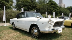 Cars grass classic cars