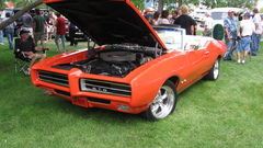 Cars grass pontiac gto