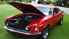 Cars grass vehicles Ford