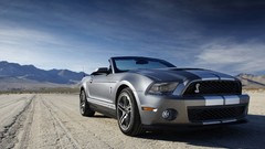 Cars GT Ford Shelby Shelby Mustang