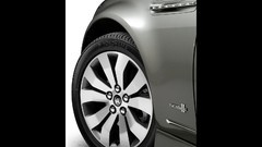 Cars Holden sports cars commodore holden commodore