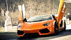 Cars italian cars Lamborghini-Aventador muscle cars