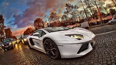 Cars Lamborghini