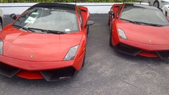 Cars Lamborghini