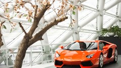 Cars Lamborghini-Aventador