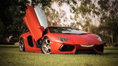 Cars Lamborghini-Aventador
