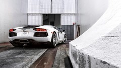 Cars Lamborghini back Lamborghini-Aventador lp700 white cars