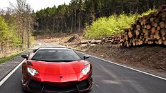 Cars Lamborghini forests
