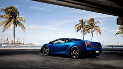 Cars lamborghini gallardo