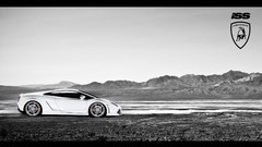 Cars lamborghini gallardo