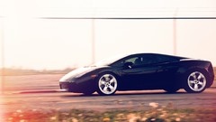 Cars lamborghini gallardo