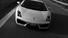 Cars Lamborghini grayscale