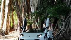 Cars Lamborghini italian cars