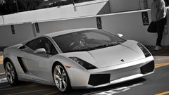 Cars Lamborghini lamborghini gallardo