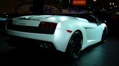 Cars Lamborghini lamborghini gallardo