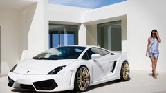 Cars Lamborghini lamborghini gallardo
