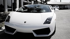 Cars Lamborghini lamborghini gallardo