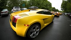 Cars Lamborghini lamborghini gallardo