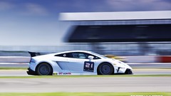 Cars Lamborghini lamborghini gallardo