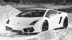 Cars Lamborghini lamborghini gallardo