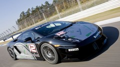 Cars Lamborghini lamborghini gallardo