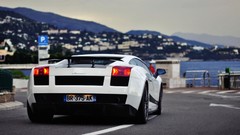 Cars Lamborghini lamborghini gallardo